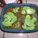 도토리숲속학교 이미지