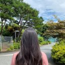 진헤어jinhair