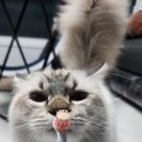 조타 생활과학연구소 이미지