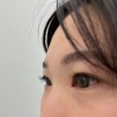 뷰티바비 | [뷰티] 잠실새내 바비래쉬 :: 플랫모 속눈썹 연장 후기