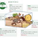 햄스터공화국