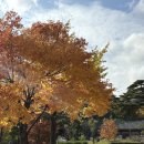 설악동 C1 주차장 이미지