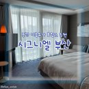 라운지바 | 해운대 숙소 추천 | 시그니엘 부산 호캉스 | 수영장, 조식, 라운지바 솔직 후기