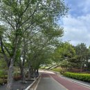 당항포관광지 자판기 | [경남 고성] 당항포 관광지 - 고성공룡세계엑스포 / 고성여행 아이와 함께(3) - 자연사박물관&수석...