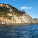 완도20호 이미지