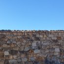 3.1.운동 기념비 맞은편 이미지