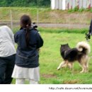 속담농장 이미지