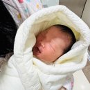 에이치모빌 | [출산일기] 270일간의 기다림의 끝 38주 4일차 에이치큐브 제왕절개 출산 후기 및 4박5일 입원 후기