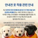 안내견처럼 &#39;노란 조끼&#39; 입은 반려견…견주들 &#39;어디든 출입가능&#39; 노렸나 이미지