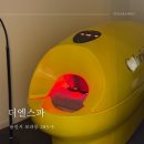용인다이어트 칼로리바, 머슬랜더 후기 :: 더엘스파