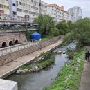 봉황여관 | 차차티클럽 창신한옥: 이름이 너무 귀여운 찻집