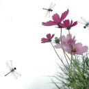 메이저요양병원 이미지