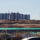 포항시남구4 이미지