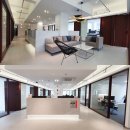 사파동264 이미지