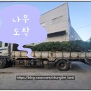 청림조경공사 이미지