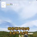 우동자이공인중개사사무소 이미지