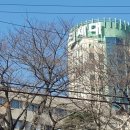 베토벤고시텔