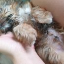 금나래동물병원 이미지