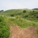 설매재자연휴양림 이미지