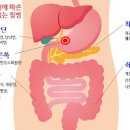 명치 위 통증 명치 아래 누르면 통증 답답함 아픔 명치 왼쪽 오른쪽위치 이미지