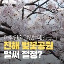 진해구 ⓒ-7 | "아직 이른 줄 알았는데"...2026 진해 벚꽃공원 벌써 절정?