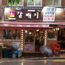 나노갈매기 이미지