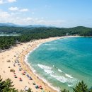 연곡해변관광지 | 2026 강릉 경포대 &amp; 안목해변 커피거리 가이드 | 연곡솔향기캠핑장 명당 + 초당순두부·장칼국수 미식 코스