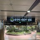 박진홍 | 2025 YTN 서울투어 마라톤 완주 후기