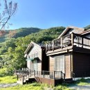 kim's home 이미지