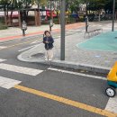 새싹교통어린이공원 이미지