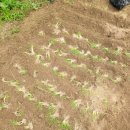 성태농장 이미지