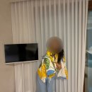 스테이 신사리 이미지