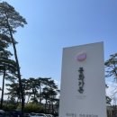 우명 | 강릉 유-우명 짬뽕순두부 맛집 ‘동화가든’ 후기! 근데 또 고양이 맛집이기도한(?)