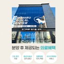 더펫샵 | 대구 강아지 분양 고양이 분양 도그마루 펫샵 솔직 후기 (가격, 패키지 포함)