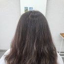 대도자동차정비 | 창원 팔용동 헤어샵 오월봄 시술 솔직 후기