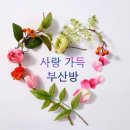 😍사랑가득한 부산방😍 3월30~4월1일🥰 이미지