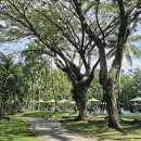 궁전아파트 A동외1 놀이시설 | Day 3 in 코타키나발루 : 호캉스, 더 마젤란 수트라