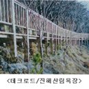 산림욕장 이미지