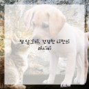 우리집건강