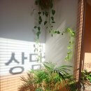 다온상담미술센터