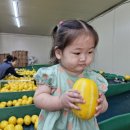 빈이네농장 이미지