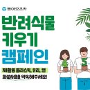 반려식물키우기 이미지