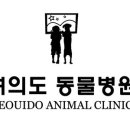 여의도 동물병원 은하점 이미지