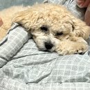 따라가기PC방 | 인생도 타임랩스처럼