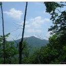 모곡초등학교 이미지