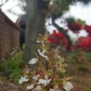 우란농장 이미지