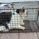 두타동물병원 이미지