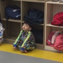 용인대통일태권도 이미지