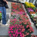 팔복농장 이미지