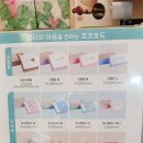 코코호도(도봉구청점)